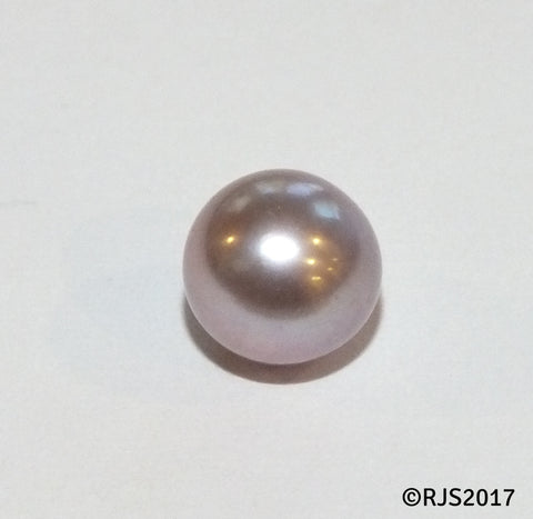 Pick A Pearl Oyster Freshwater Cultured Loose Pearl Round Purple Lavender for Pearl Cages, Charms, Necklaces