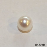 Pick A Pearl Oyster Freshwater Cultured Loose Pearl Round White for Pearl Cages, Charms, Necklaces