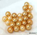 Pick A Pearl Oyster Freshwater Cultured Loose Pearl Round Gold for Pearl Cages, Charms, Necklaces