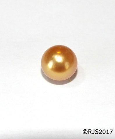 Pick A Pearl Oyster Freshwater Cultured Loose Pearl Round Gold for Pearl Cages, Charms, Necklaces