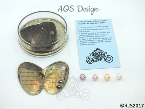 Pick A Pearl Oyster Mussel Mollusk Kit Freshwater Pearl Wish Pearl Take Home Epcot Pearl For Pearl Cage Round to Near Round