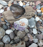 Pick A Pearl Oyster Mussel Mollusk Kit Freshwater Pearl Wish Pearl Take Home Epcot Pearl For Pearl Cage Round to Near Round