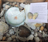 Pick A Pearl Oyster Mussel Mollusk Kit Freshwater Pearl Wish Pearl Take Home Epcot Pearl For Pearl Cage Round to Near Round
